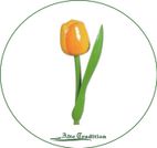 holztulpe-gelb-orange