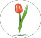 holztulpe-orange-weiß