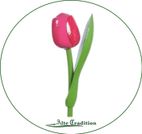 holztulpe-pink-rot