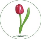 holztulpe-rot-weiß