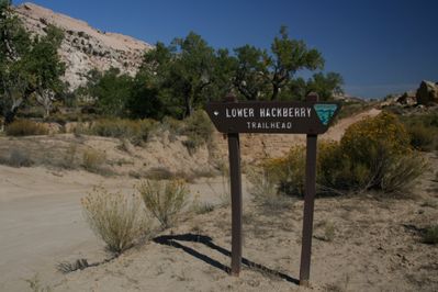Cottonwood Canyon