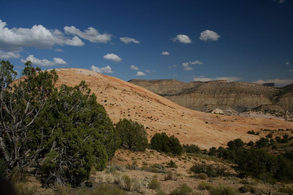Yellow Rock