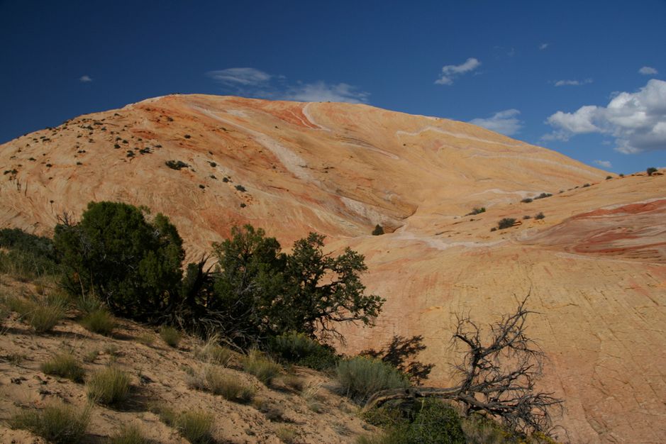 Yellow Rock