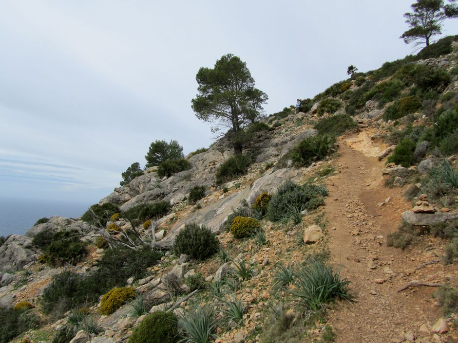 Küste bei Sant Elm