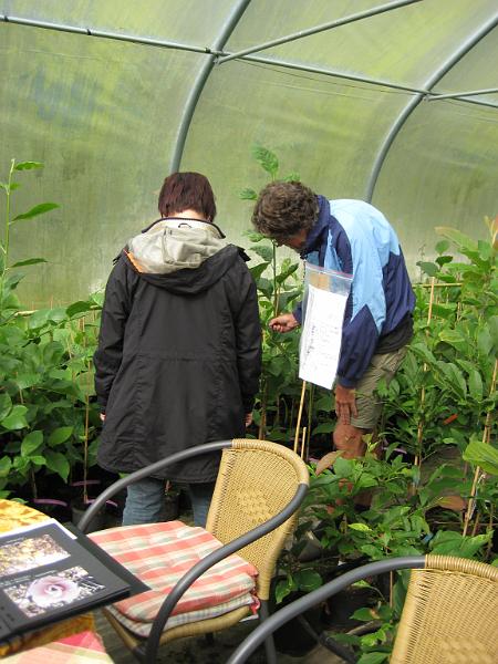 IMG_4972