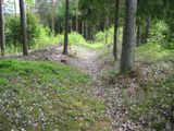Felt ID.: 11733 - Hulvei ved Tvetervannet, Skjeberg, Sarpsborg k, Østf