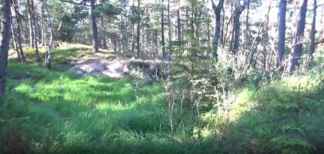 Foto av: Høgnipen - Lokaliteten: Rørmyr II. Amatør-Arkeologisk Kontor i Østfold v/Heine Iversen