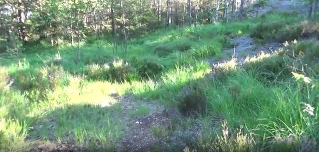 Høgnipen - Rørmyr I. 08.08.2015. Foto. Amatør-Arkeologisk Kontor i Østfold v/Heine Iversen