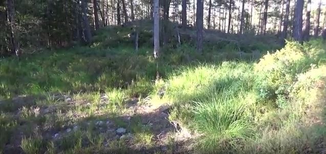 Høgnipen - Mellommyr. 08.08.2015. Foto. Amatør-Arkeologisk Kontor i Østfold v/Heine Iversen