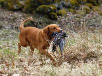 FB_IMG_1559159945944 (2)
