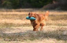 IMG_9767