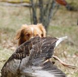 FB_IMG_1559159952449