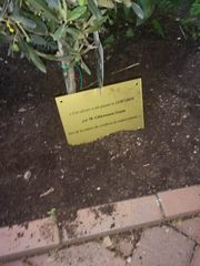 ambassade_ethiopie_Wossen_7