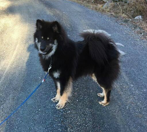 HEIKO 1 ÅR