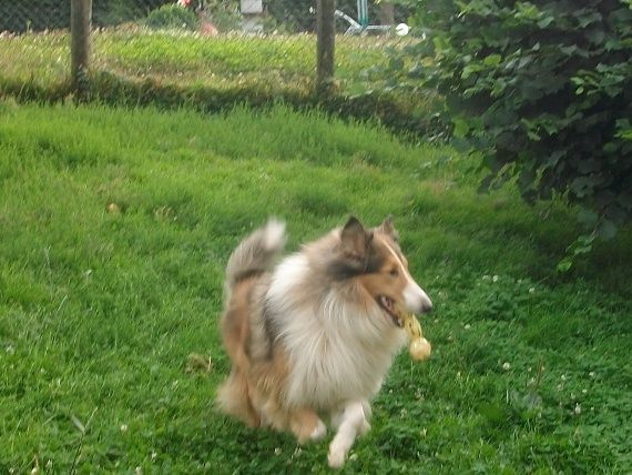 Den ganzen Tag rennen und toben, das ist meine Welt