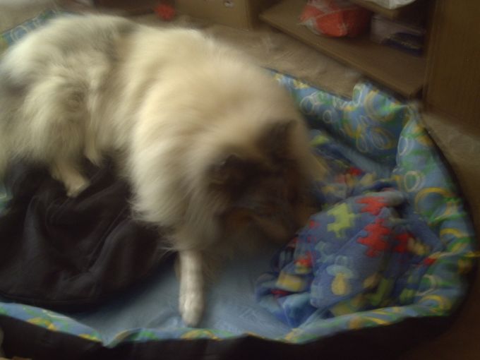 Ich habe aber auch eine Kuscheldecke