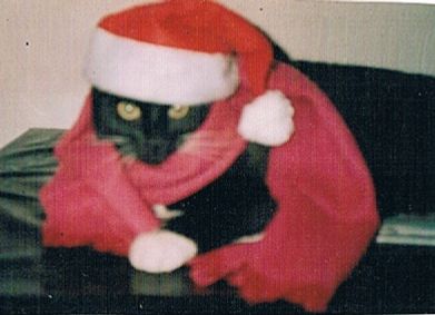 Ich bin der Weihnachtsmann