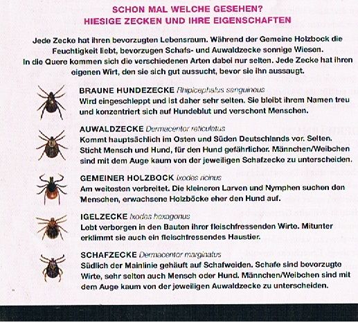 Gefahr lauert überall