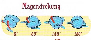 Ein Wettlauf mit dem Tod