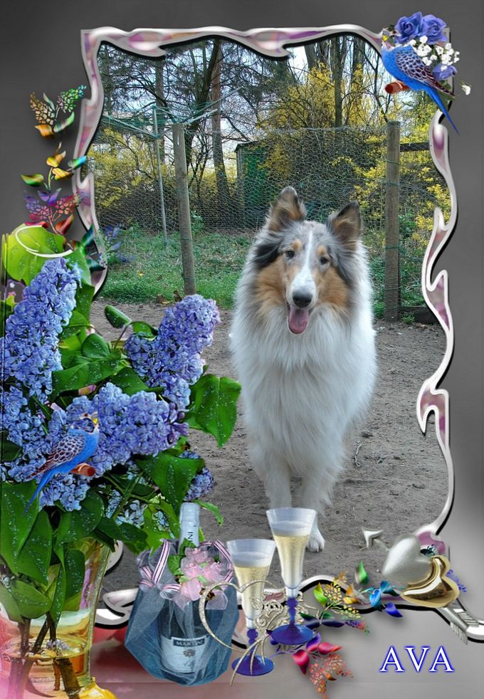 Wir gratulieren.