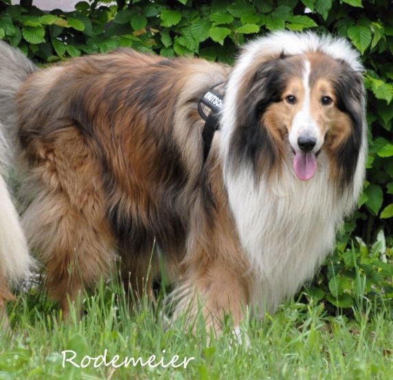 Foto u. Copyright by Melanie Rodemeier