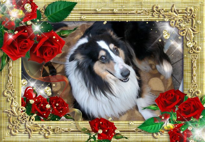 Mein geliebter Schatz 
