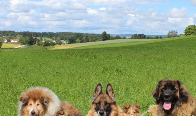 Das Team von 
