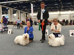 Finsk vinnare, Helsingfors, Finland-22