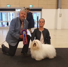 Nordisk veteran vinnare-21, Herning, Danmark