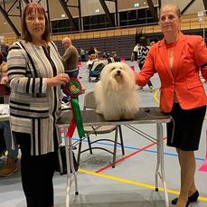 Norsk Champion, Nordic Show Champion, Sandefjord, Norge-21