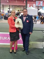 Luxemburgsk Champion, Luxemburg -18