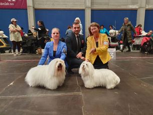 BIR och ny C.I.B-veteran, Kristiansand, Norge-23