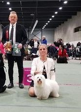 Norsk Champion, Nordisk Champion, C.I.B, Norsk Vinnare-18, Norge-18