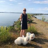 Sommar o sol