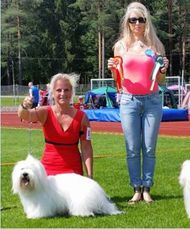 Finsk Champion, Riistina, Finland-14