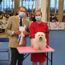 CAC, CACIB, Helsingfors, Finland-21