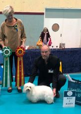 CAC, BIR, Ras-special, Eskilstuna-21
