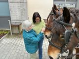 TOUR MAT DER PÄERDSKUTSCH 20.04.2023
