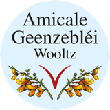 Logo Amicale