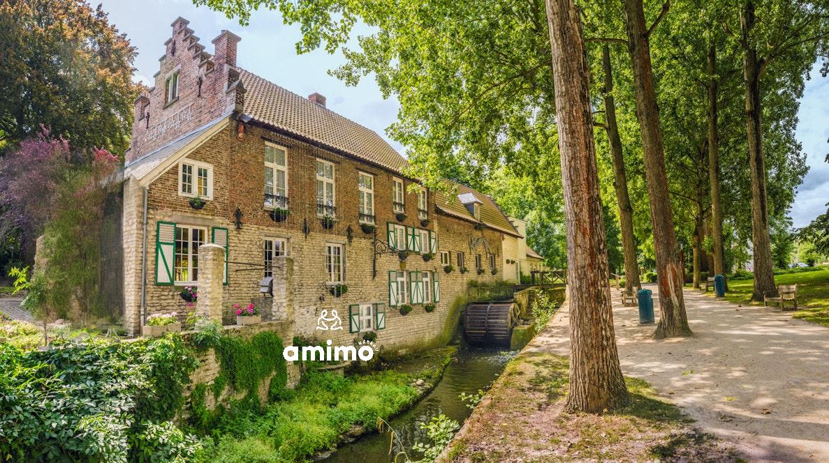 Amimo Moulin
