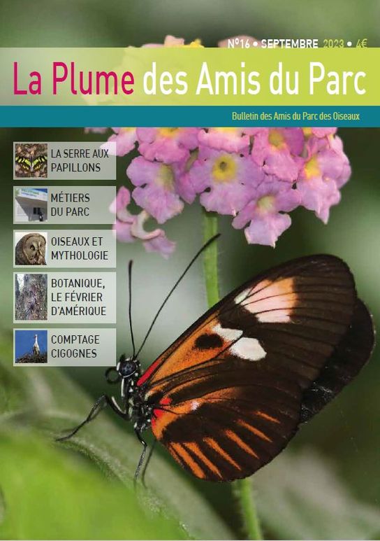 plume16-1