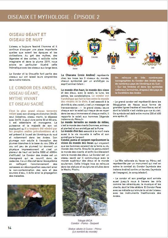plume16-14