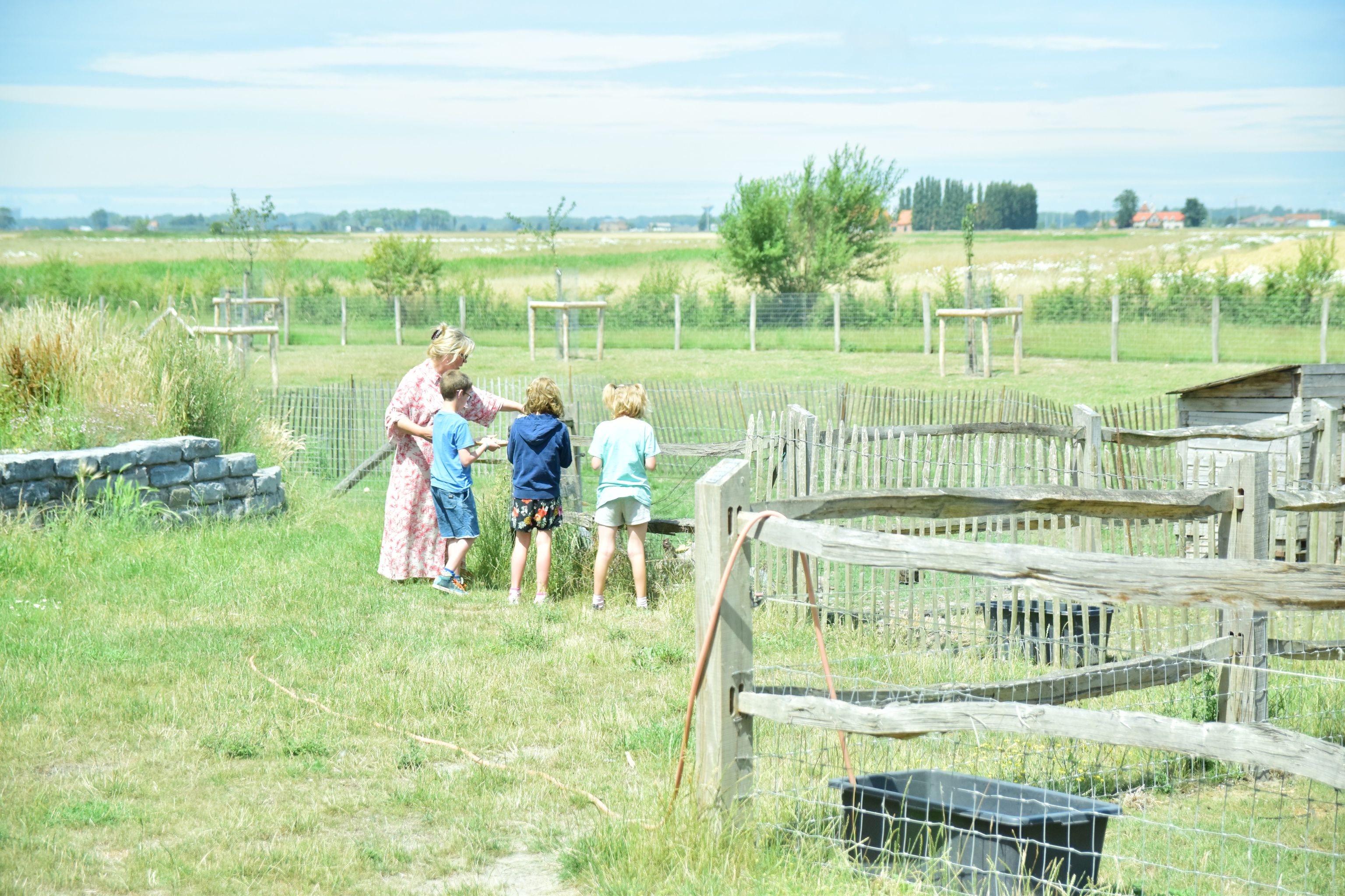 291512873_386177380245638_1770762132764415901_n