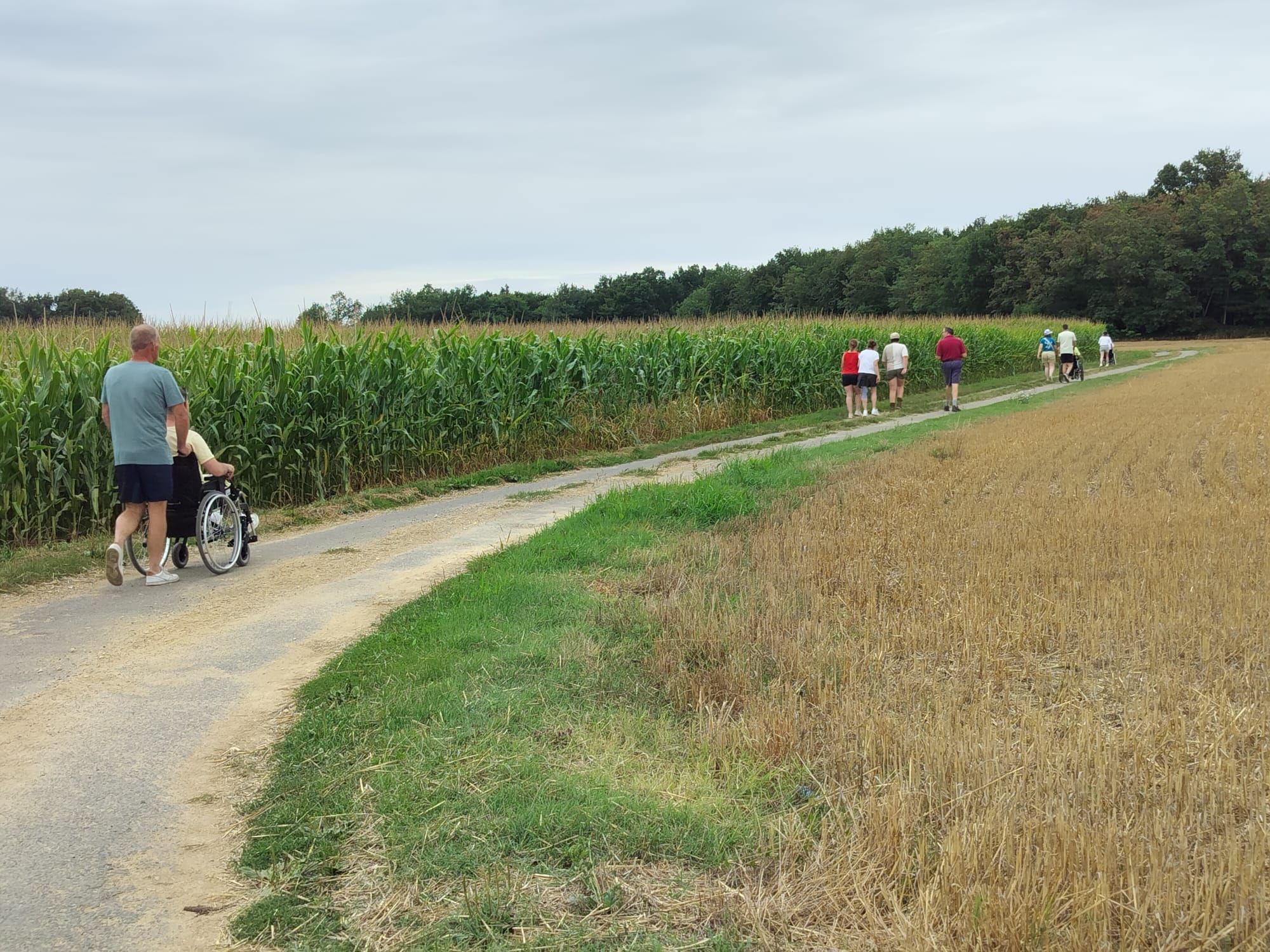 WhatsApp Image 2025-07-28 at 08.47.02fs