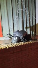 IMG-20241026-WA0011