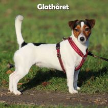 Glathåret (Loviisa)
