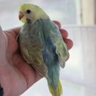 IMG_3832a