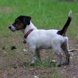 IMG_8976