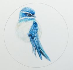 Bird