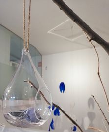 Copia de IMG_20220917_172053
